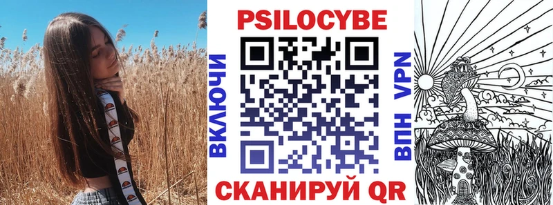 Галлюциногенные грибы Psilocybe сколько стоит blacksprut Новочебоксарск
